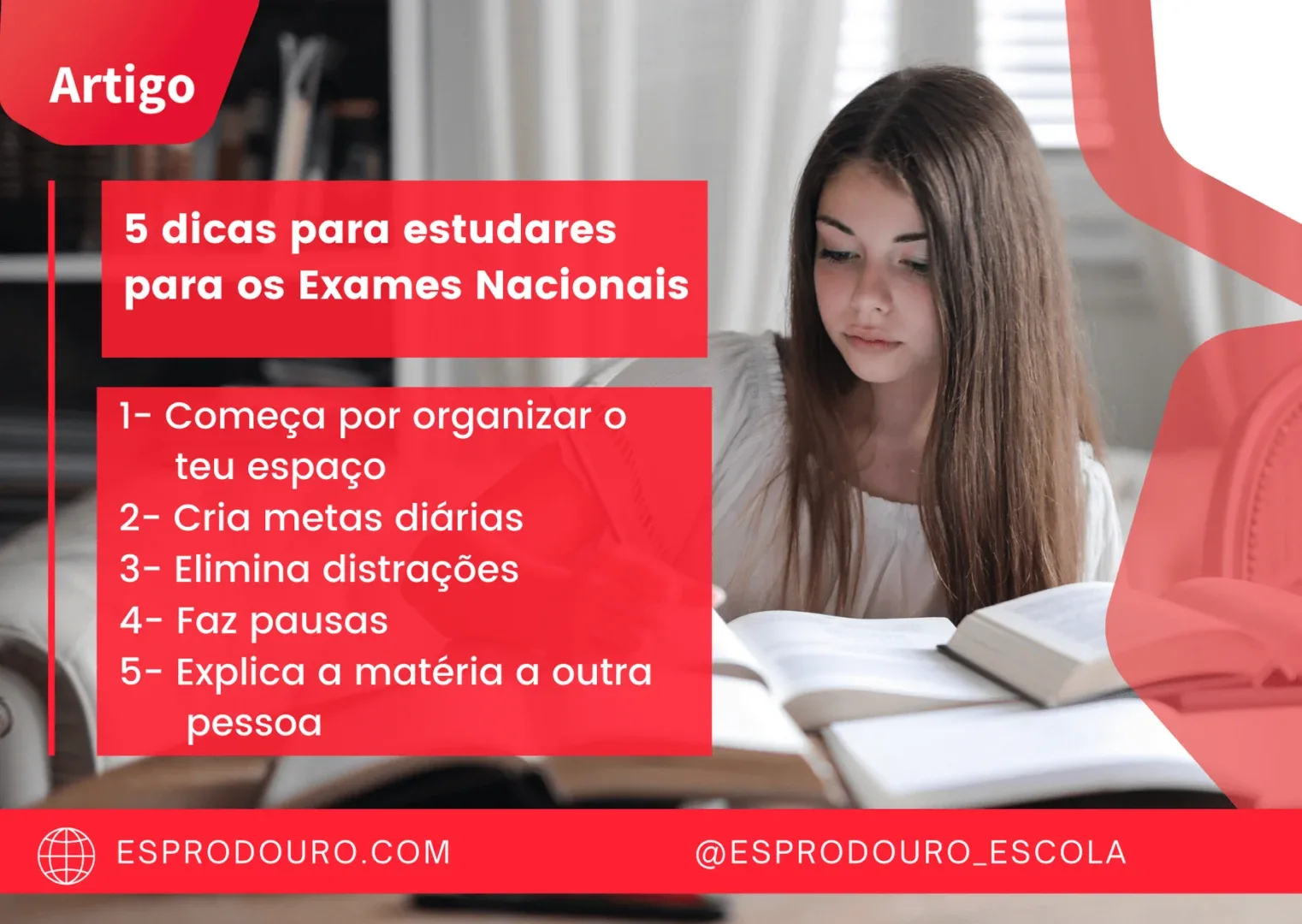 Artigos Site