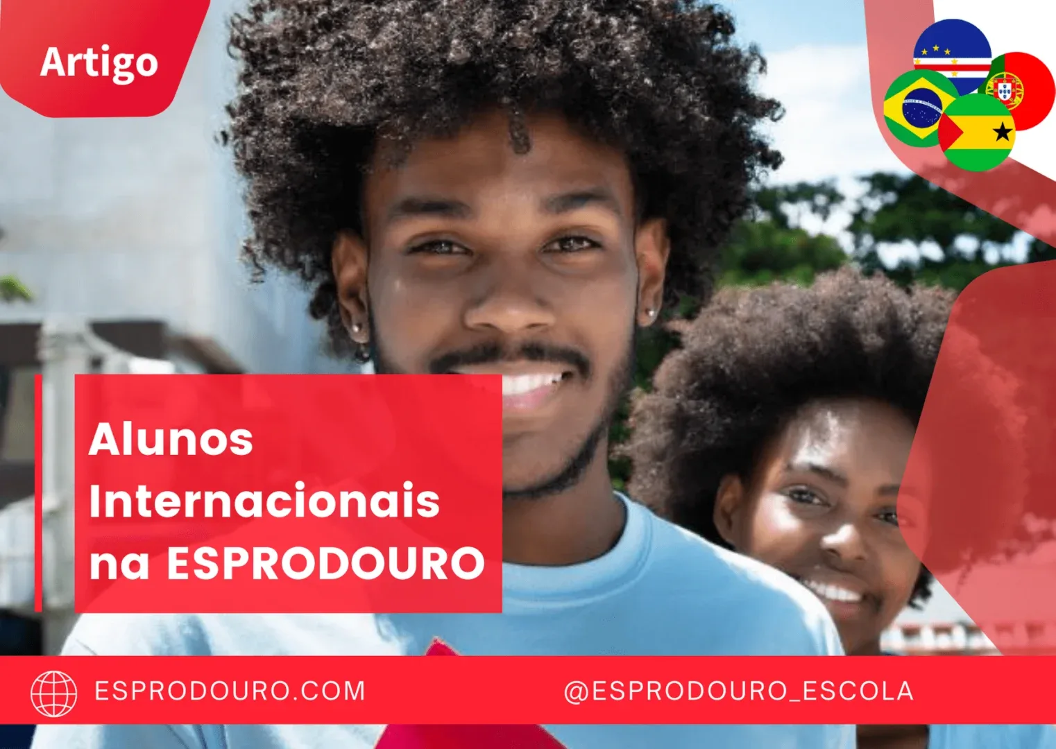 Artigos Site