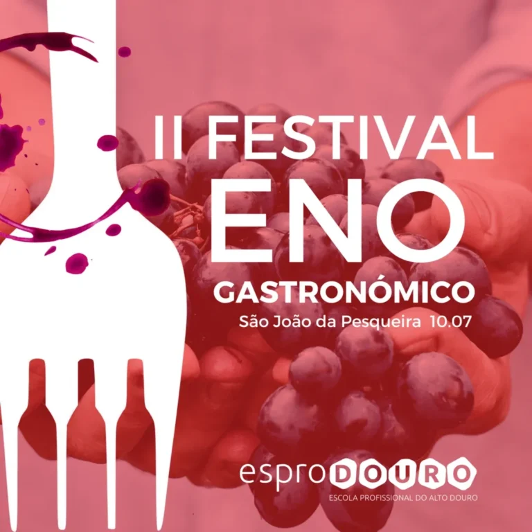 Cartaz Festival Insta