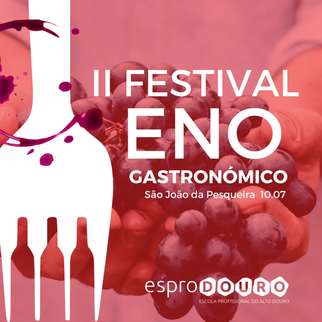 Cartaz Festival Insta