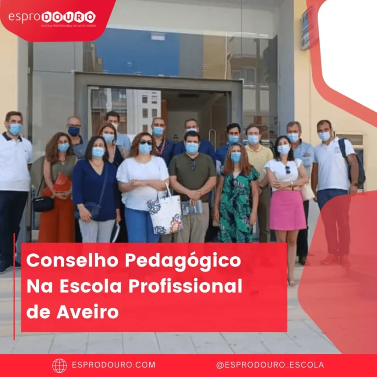 Curiosidade Ano Letivo